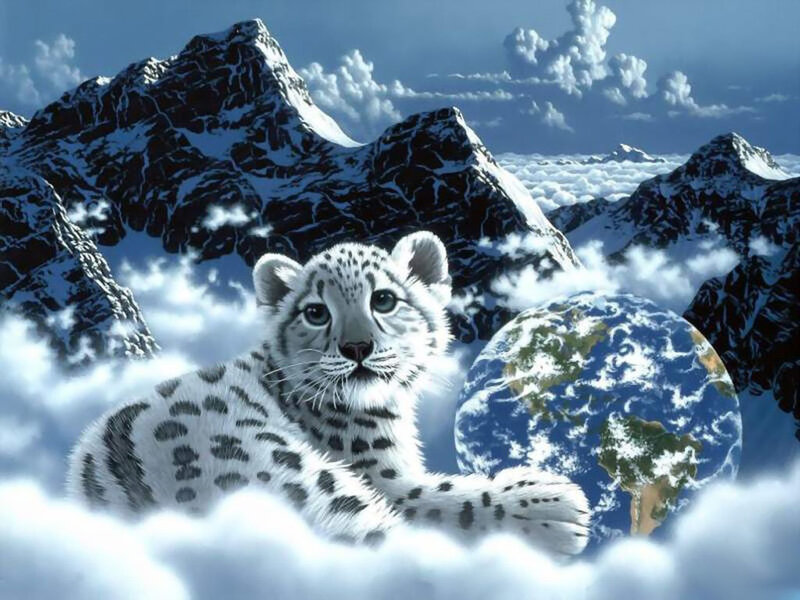 Snow leopard cub in clouds