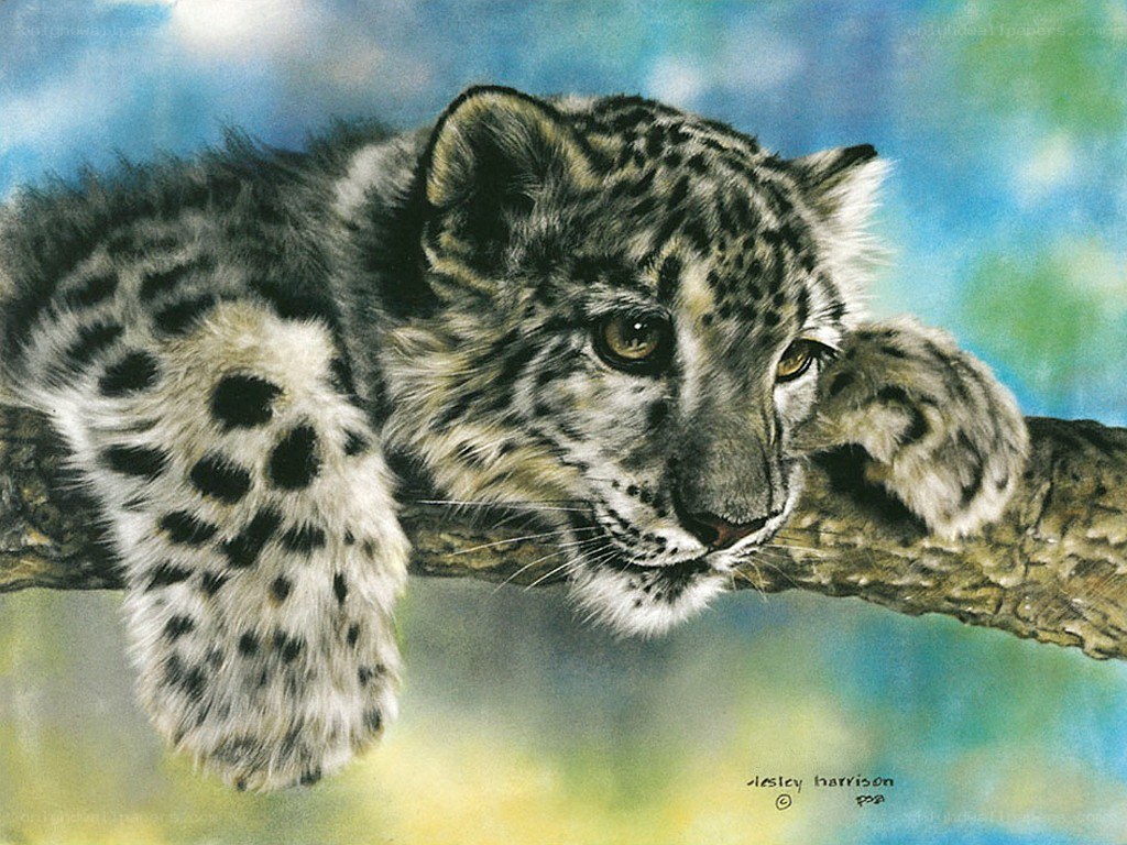 Snow leopard cub on a branch