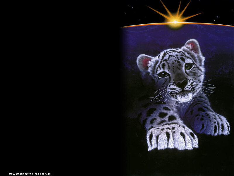 Snow leopard cub on planet