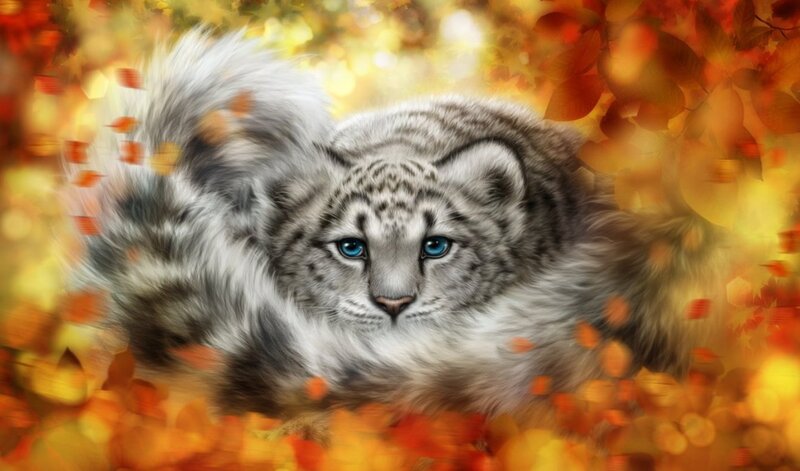 Snow Leopard Cub — Orange
