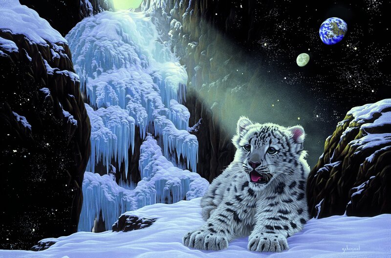 Snow Leopard Cub — White, Dramatic, Night