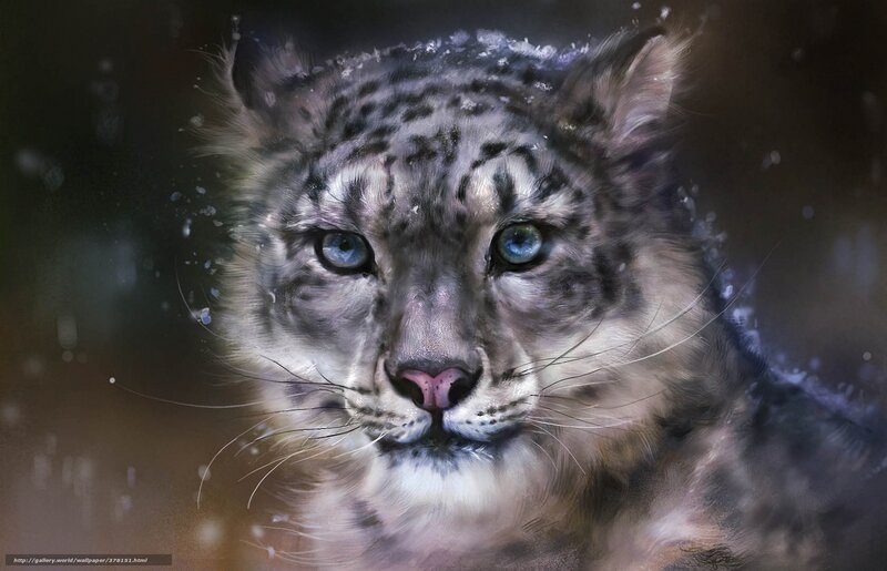 Snow Leopard Cub — White, Dramatic, Winter, Digital Art, Blue Eyes