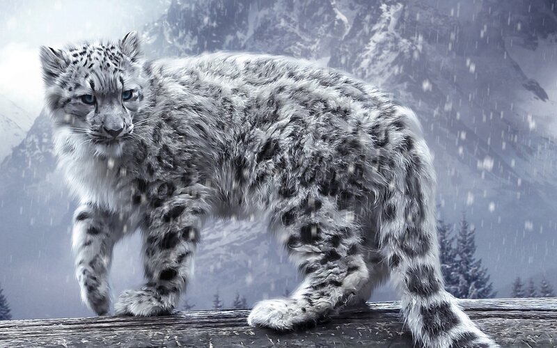 Snow Leopard Cub — White, Dramatic, Winter, Digital Art, Mountain