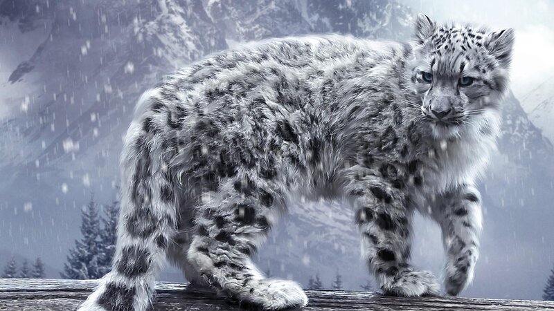 Snow Leopard Cub — White, Dramatic, Winter, Digital Art, Mountains, Forest