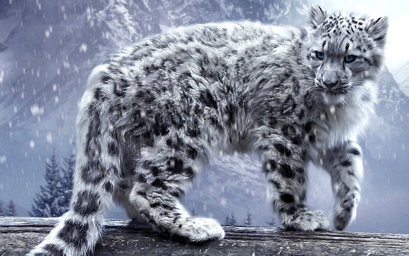 Snow Leopard Cub — White, Dramatic, Winter, Digital Art, Mountains