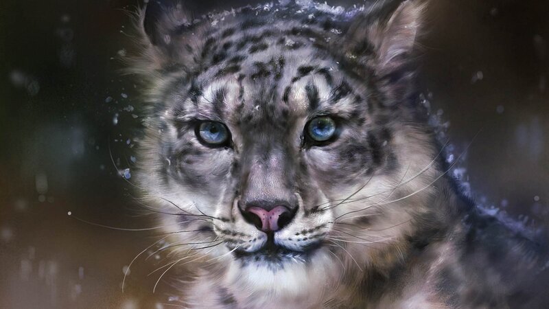 Snow Leopard Cub — White, Intense
