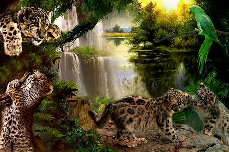 Snow Leopard Cubs — Green, Serene