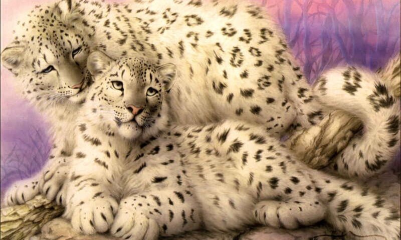 Snow Leopard Cubs — White, Serene