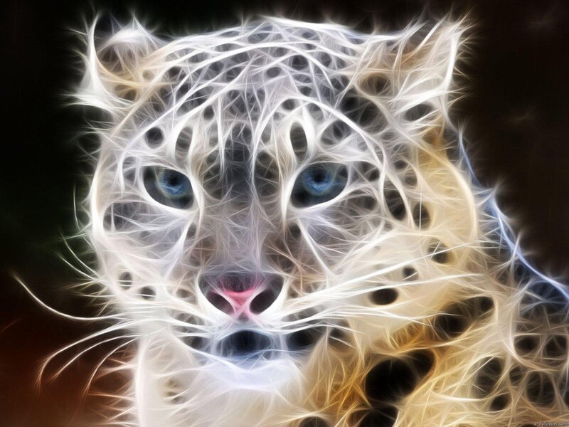 Snow Leopard Face — Digital Art