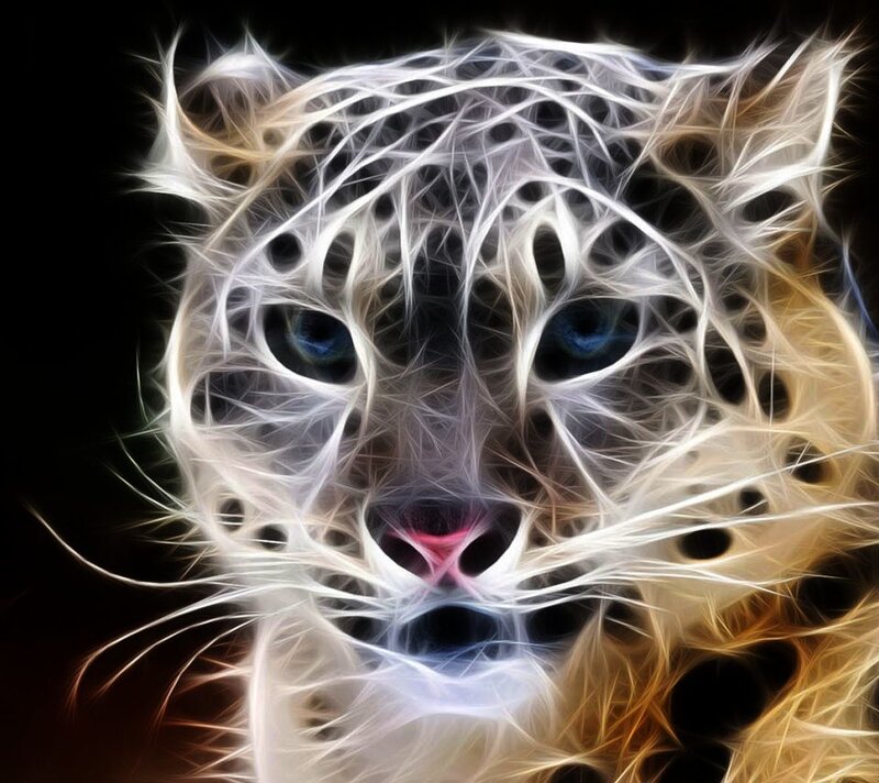 Snow Leopard Face