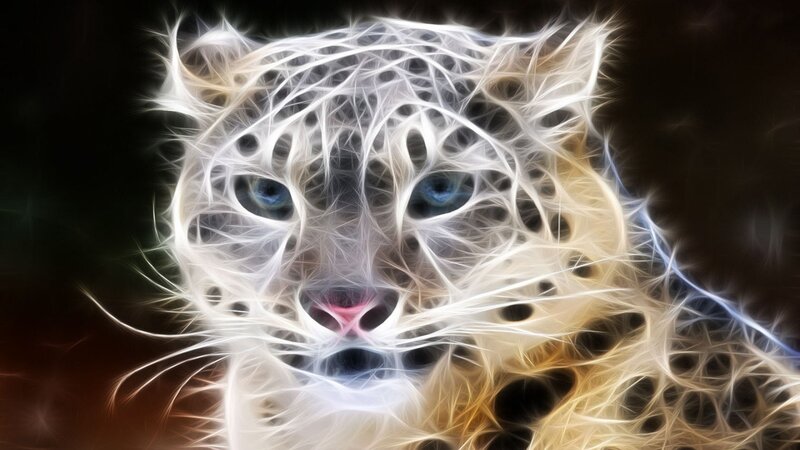 Snow Leopard Face — White, Dramatic, Digital Art