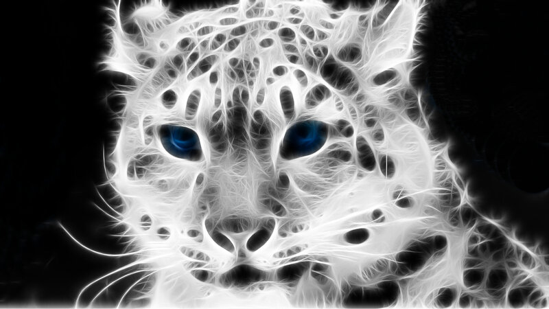 Snow Leopard Face — White, Dramatic