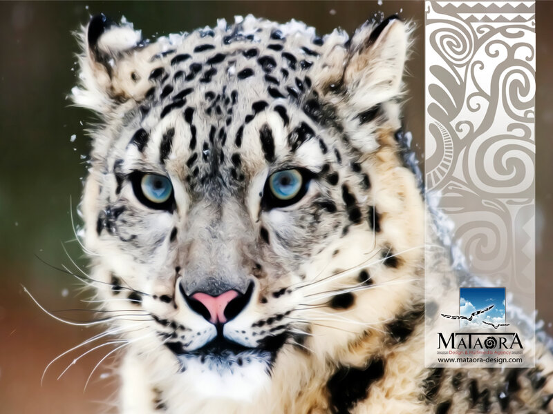 Snow Leopard Face — White