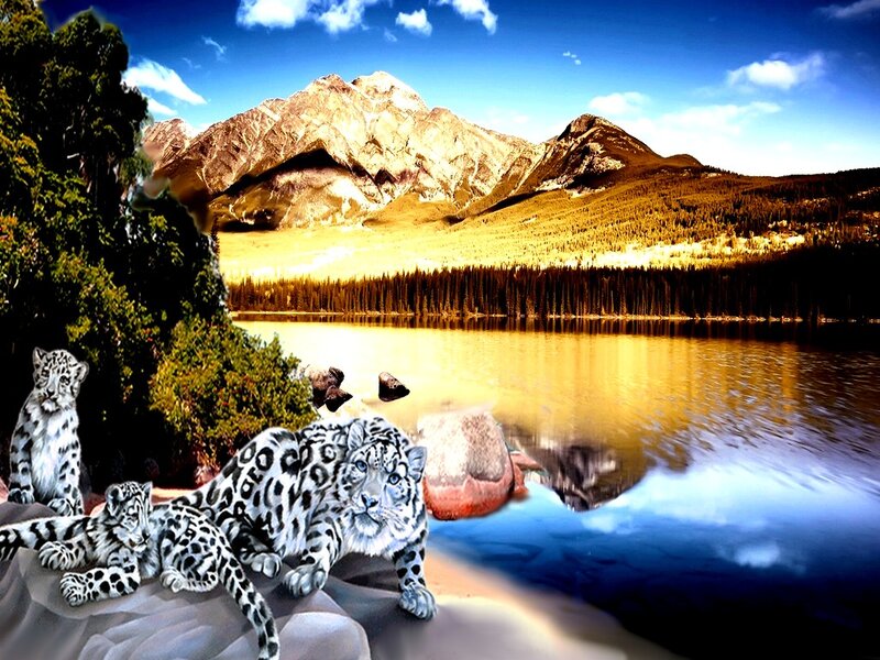 Snow Leopard Family — Blue