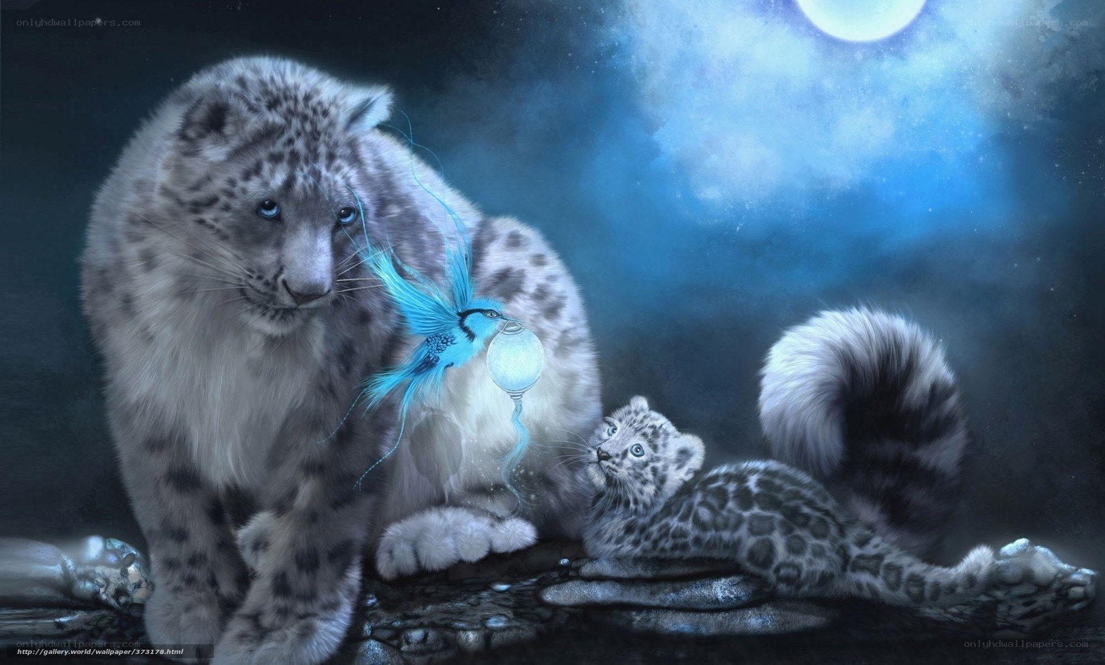 Snow leopard family under moonlight