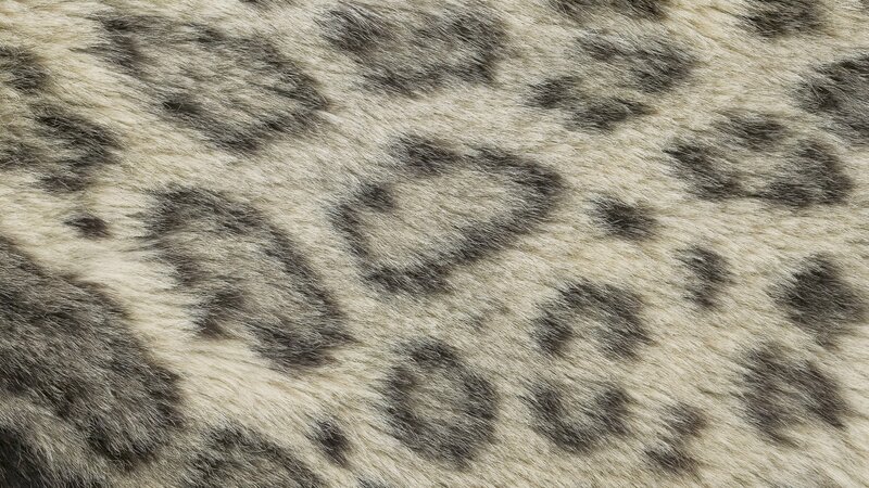 Snow Leopard Fur Pattern
