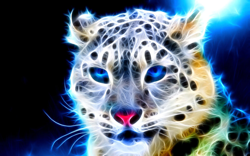 Snow Leopard Head — Blue