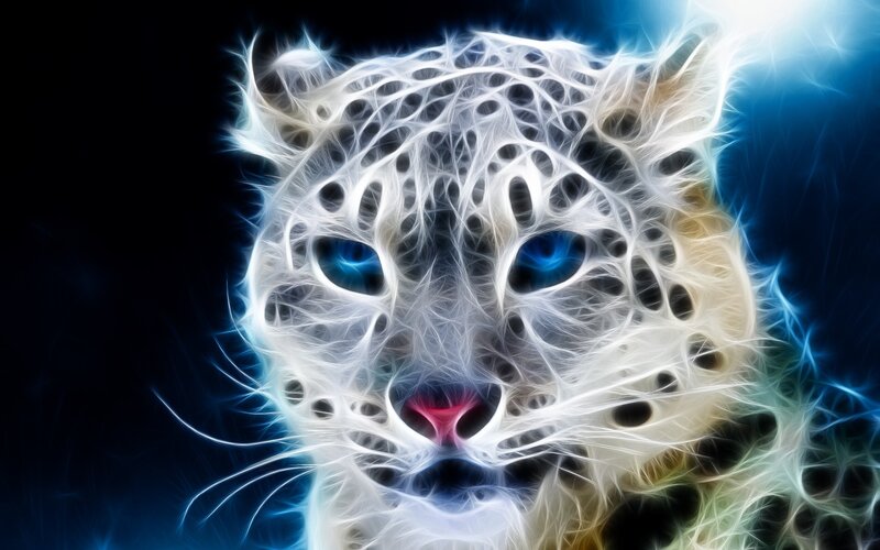 Snow Leopard Head — White