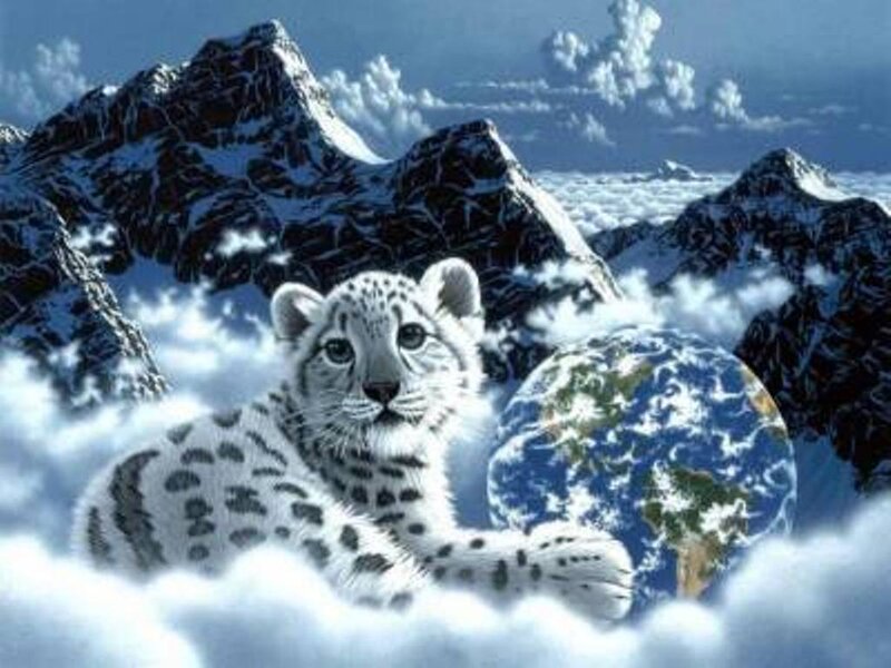 Snow leopard in clouds
