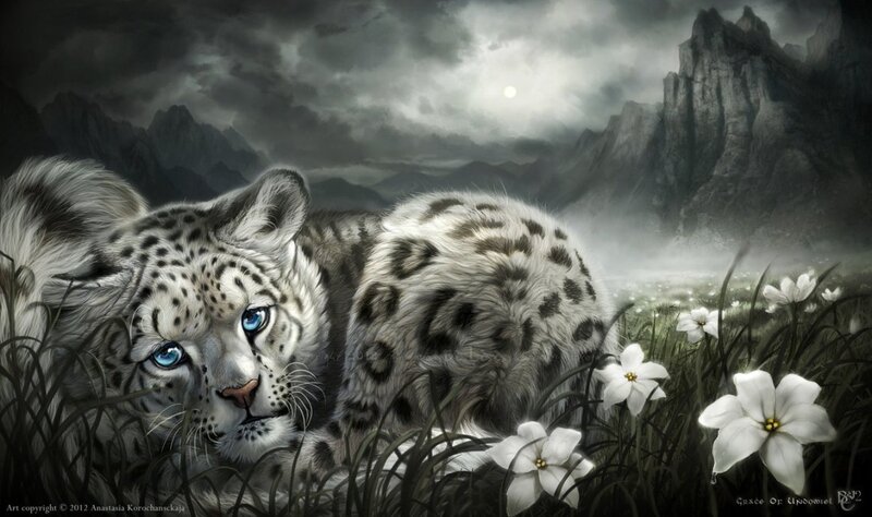 Snow Leopard in Grass — White, Dramatic, Night