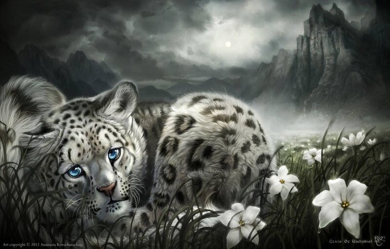 Snow Leopard in Grass — White, Dramatic
