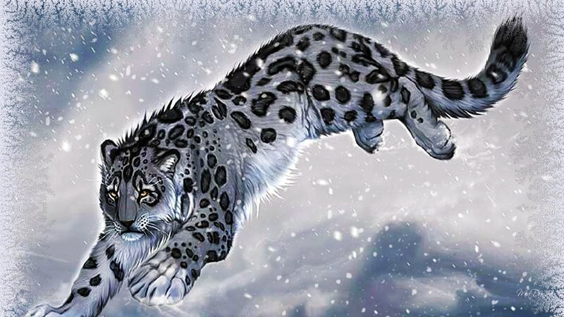 Snow Leopard in Motion — White