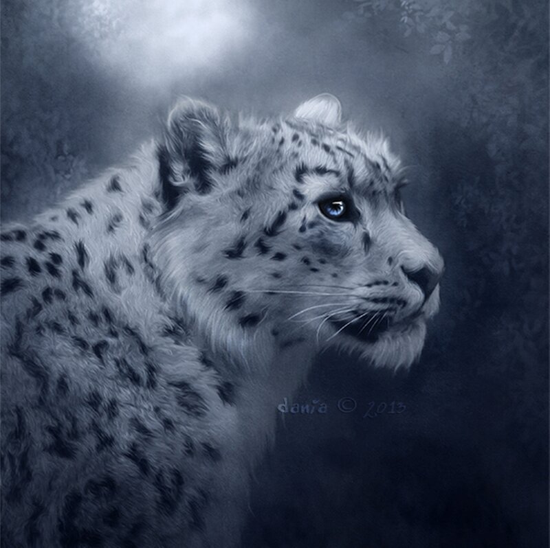 Snow Leopard in Profile — Blue