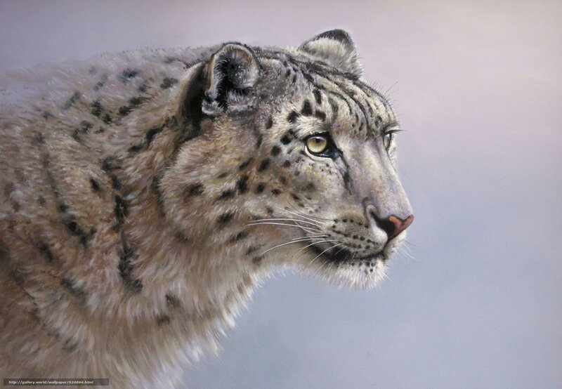 Snow Leopard in Profile — White, Calm, Painting