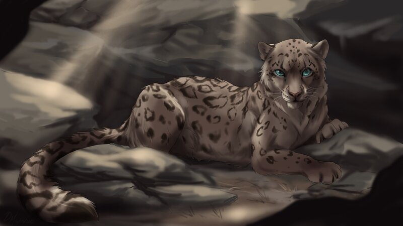 snow leopard in rocky cave