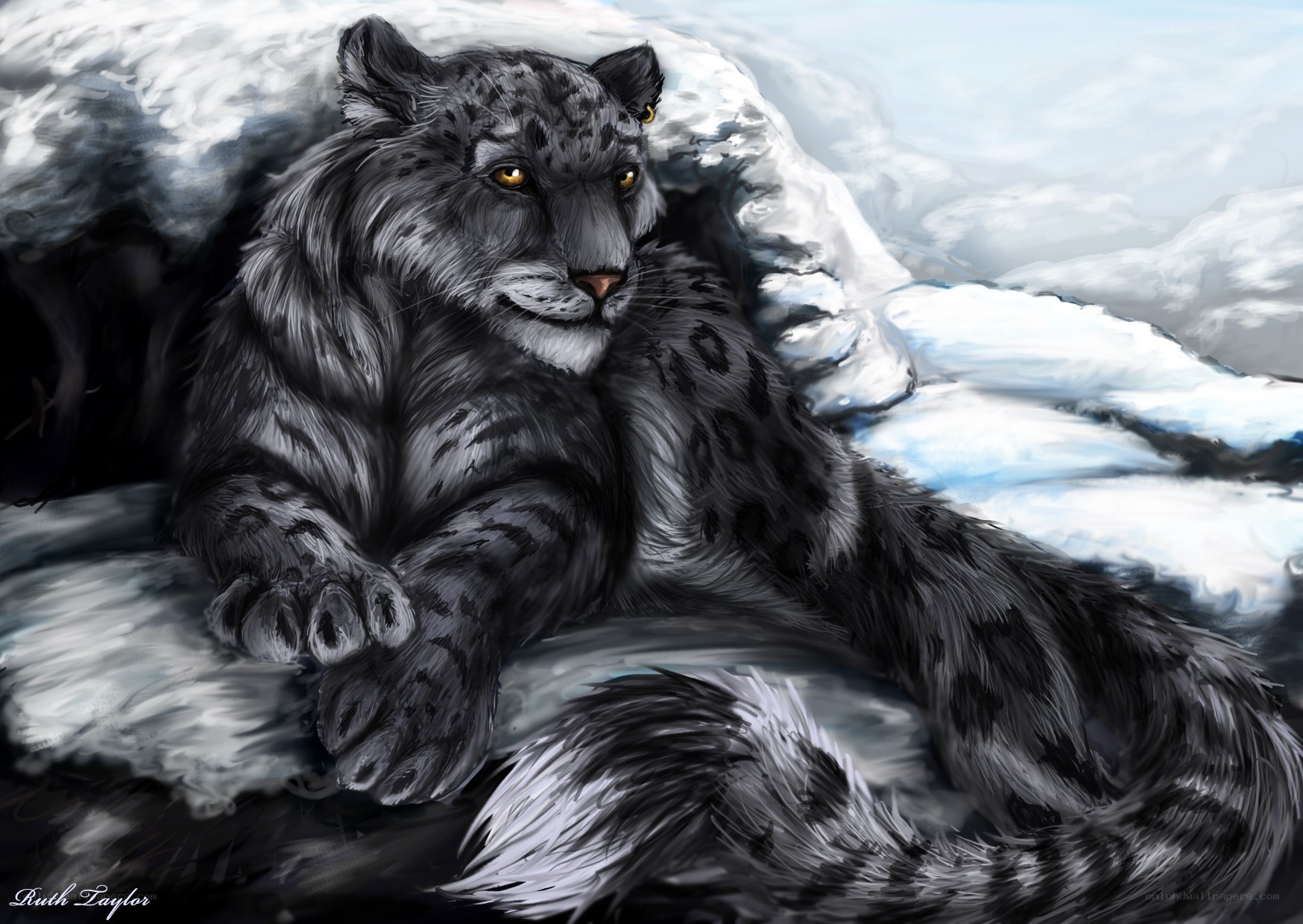 snow leopard in snow