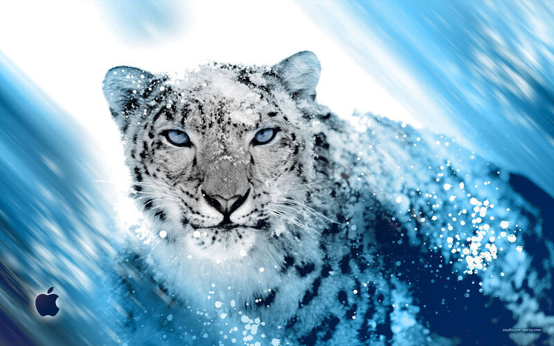 Snow Leopard in Snow — Blue, Dramatic