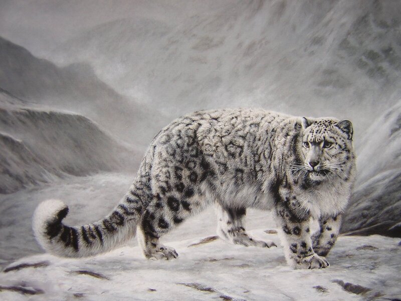 Snow Leopard in Snow — White, Dramatic, Winter, Painting