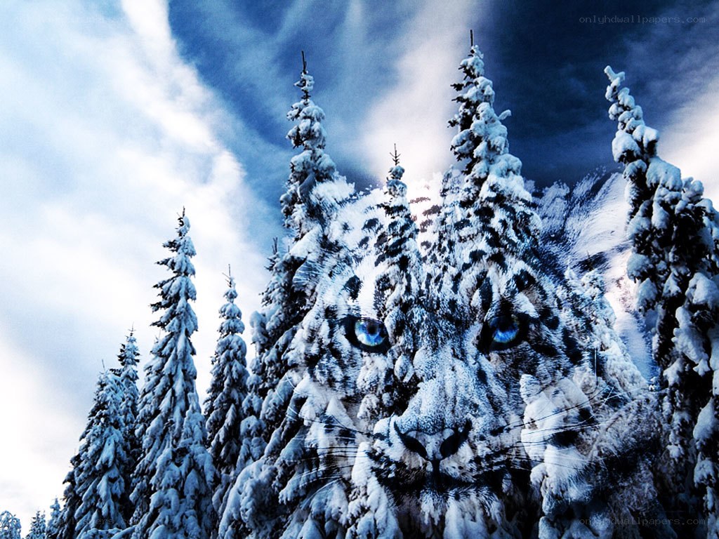 snow leopard in snowy forest