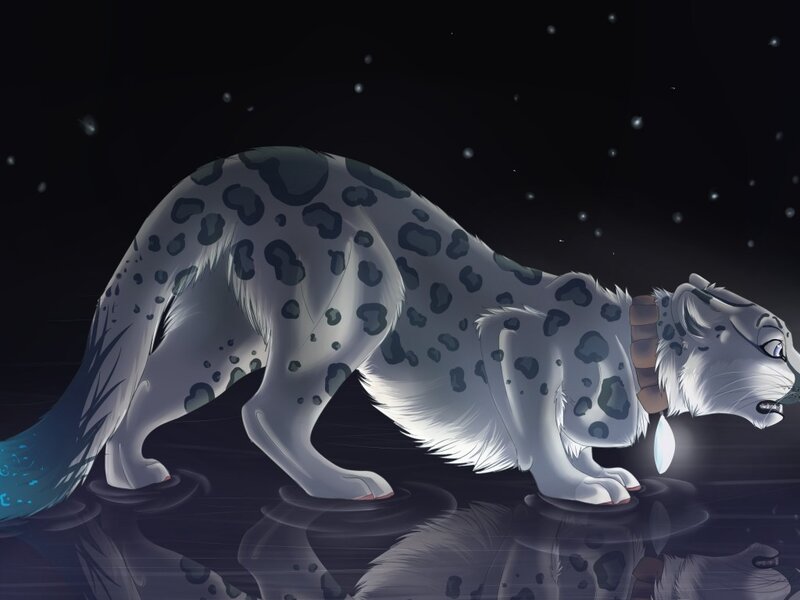 Snow Leopard in Water