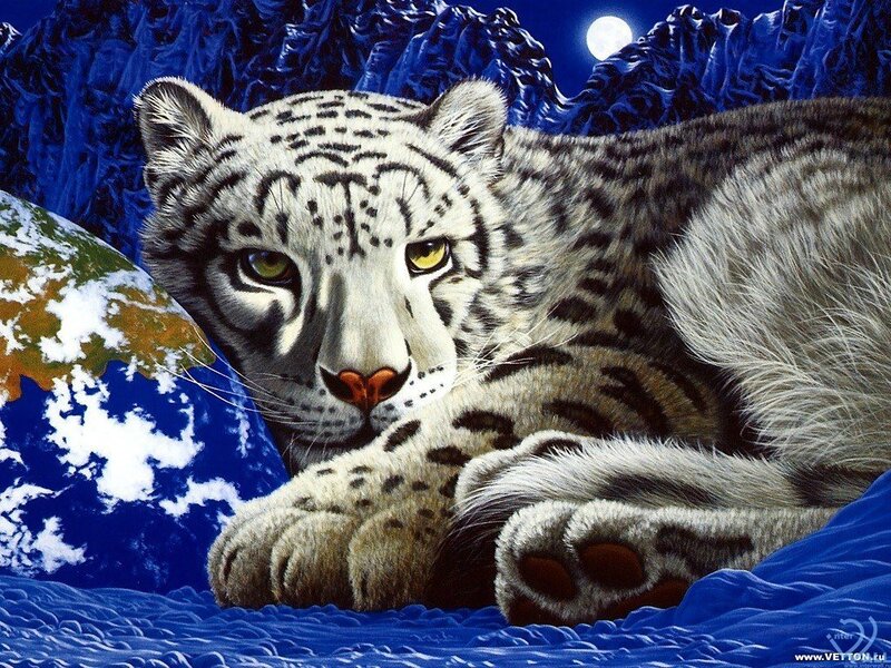Snow Leopard Lying Down — Blue