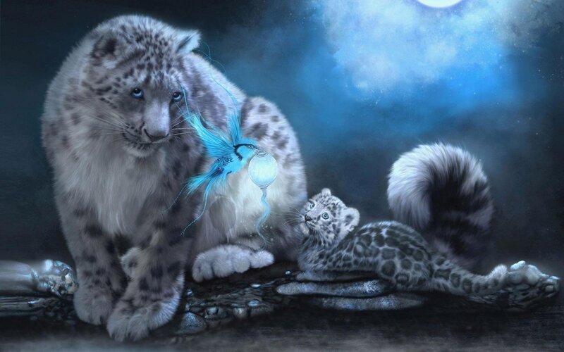 Snow Leopard Mother and Cub — Blue, Serene, Night
