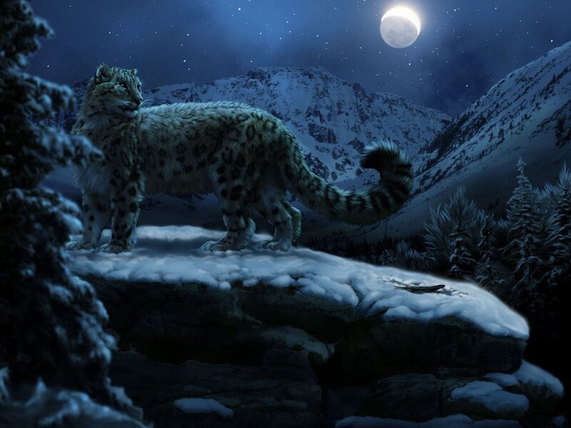 Snow Leopard on Cliff — Blue, Dramatic