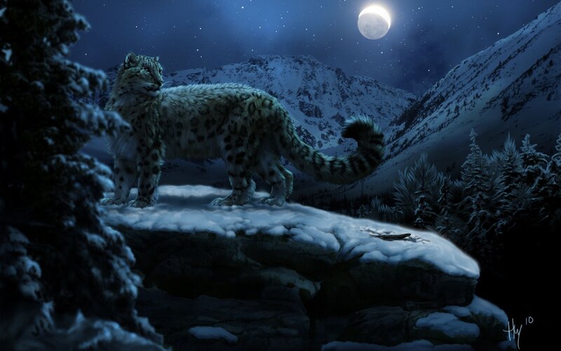 Snow Leopard on Cliff — Blue, Serene, Night, Digital Art