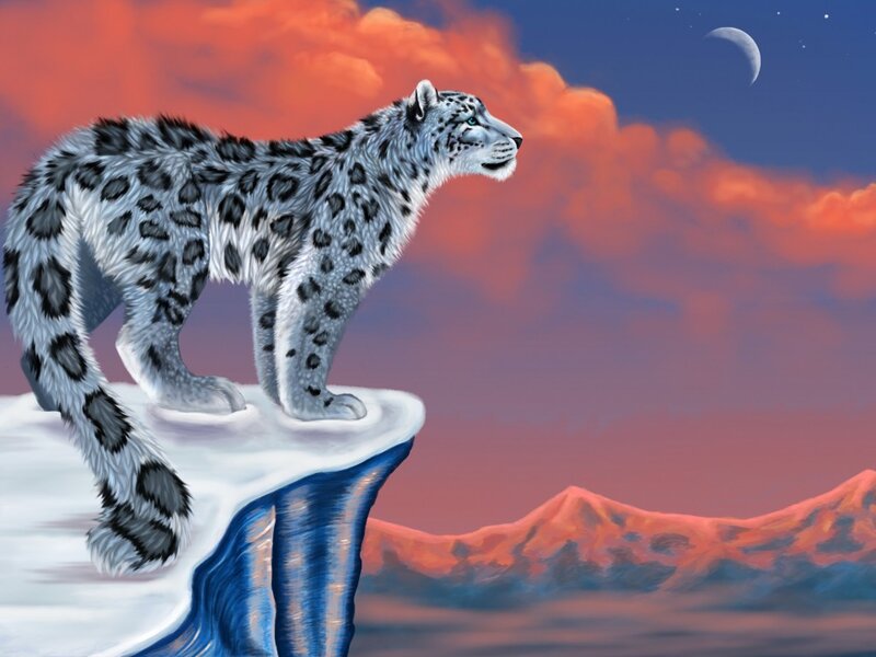 Snow Leopard on Cliff — Red, Dramatic, Night