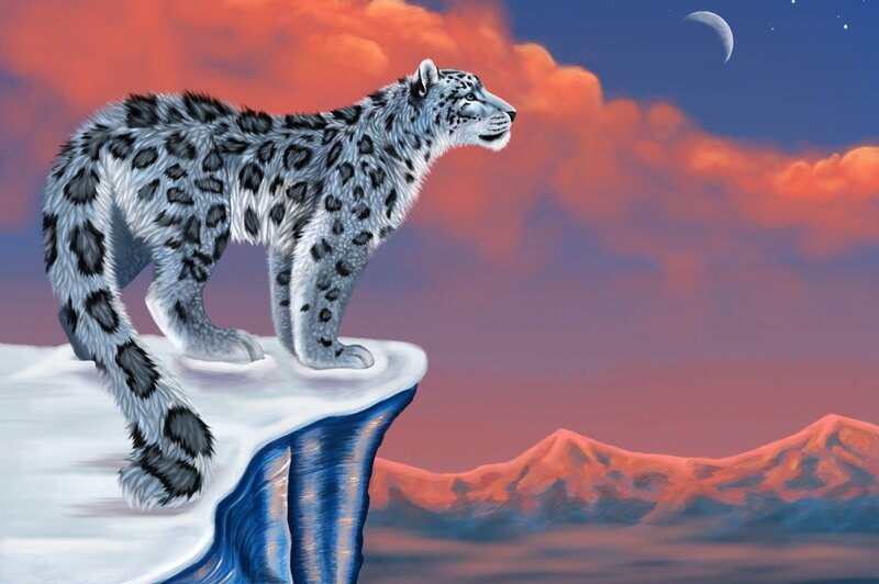 Snow Leopard on Cliff — Red