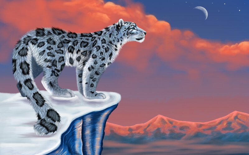 Snow Leopard on Cliff — White, Dramatic, Night, Digital Art, Mountains