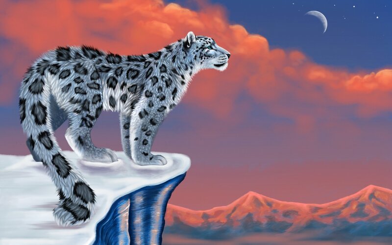 Snow Leopard on Cliff — White, Dramatic, Night, Digital Art