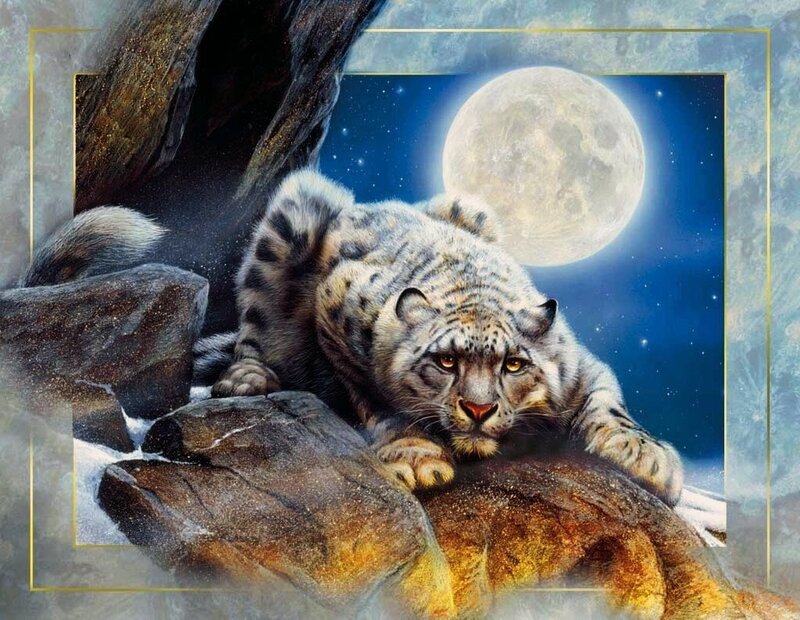 Snow Leopard on Rocks — Blue