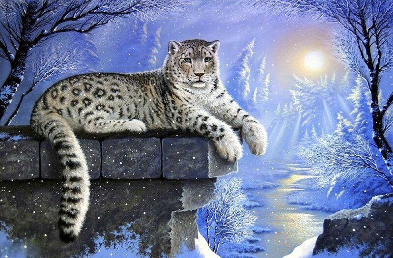 Snow Leopard on Wall — Blue