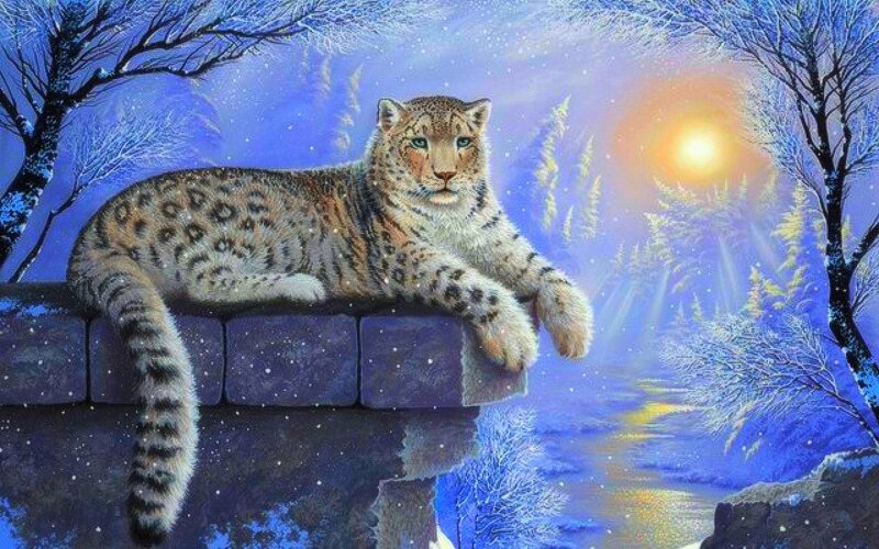 Snow Leopard on Wall