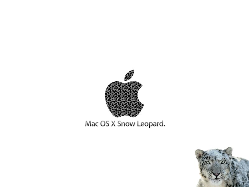Snow Leopard
