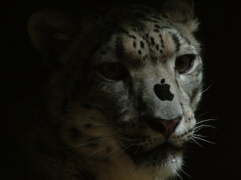 Snow leopard with Apple logo