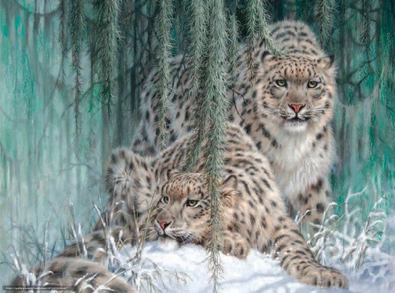 Snow leopards in forest