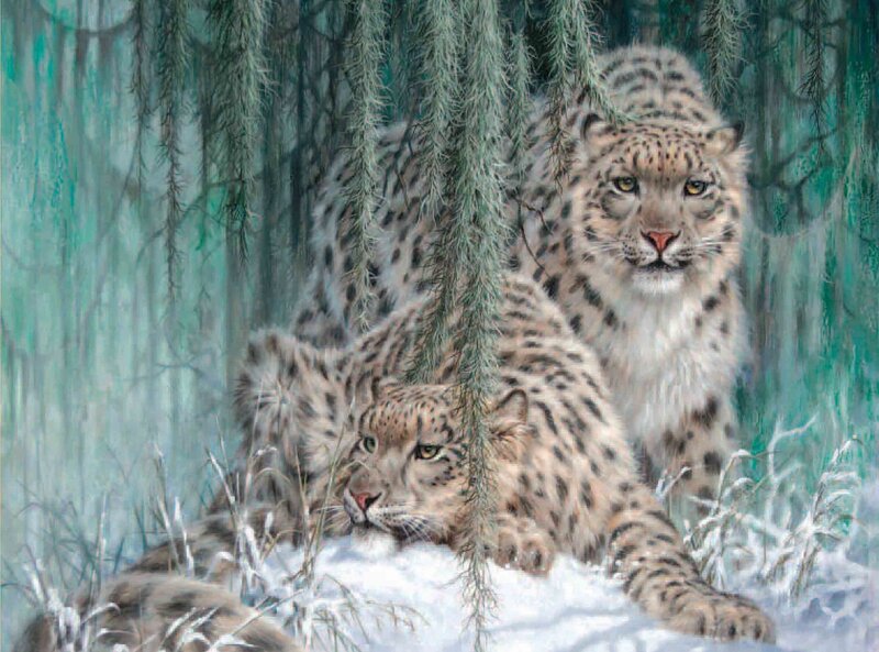 Snow Leopards in Forest — White