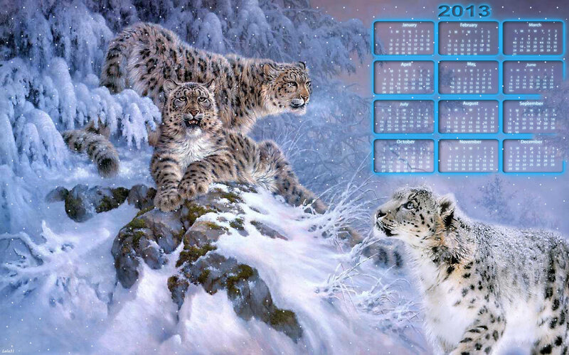 Snow Leopards in Snow — White, Cold